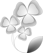 bô site